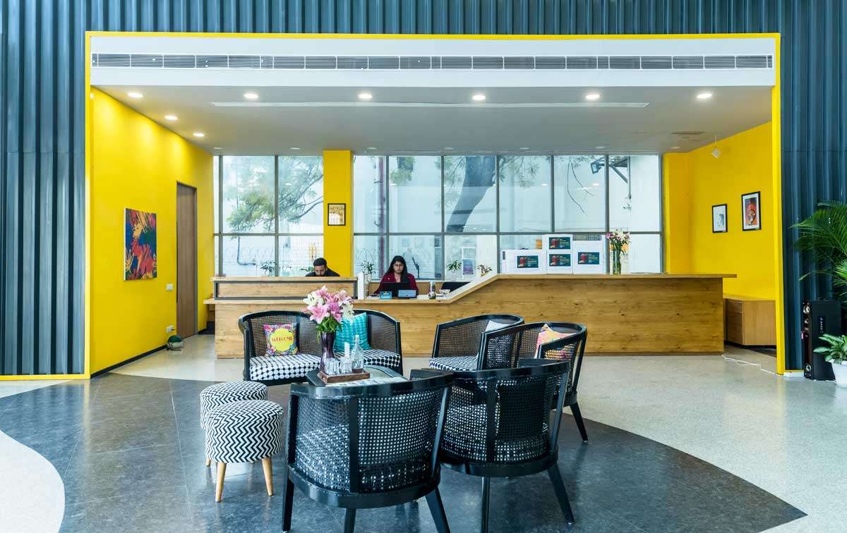 How to Build a Professional Brand